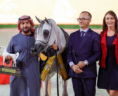 مهرجان الشارقة الدولي للجواد العربي  تألق لافت لخيول محمد بن سعود ونايلة حايك في الختام