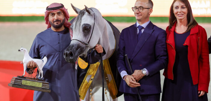 مهرجان الشارقة الدولي للجواد العربي  تألق لافت لخيول محمد بن سعود ونايلة حايك في الختام