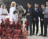 إنجاز قياسي جديد لمربط دبي في دولية الفجيرة لجمال الخيل العربي هاتريك ذهبي مرفوقا بسيف الفجيرة الذهبي ممشوقا