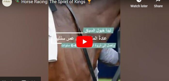 🏇 سباق الخيل: رياضة الملوك 🏆