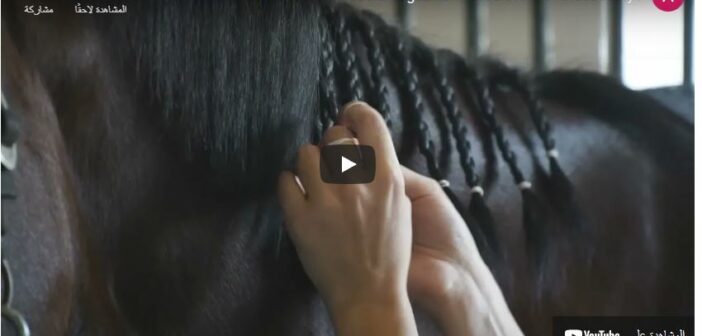 How to Braid Horses