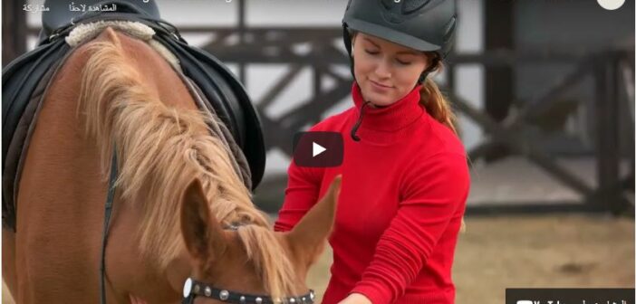 How do you prepare a horse for a ride?
