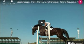 How to Train Your Horse for a Confident Jump