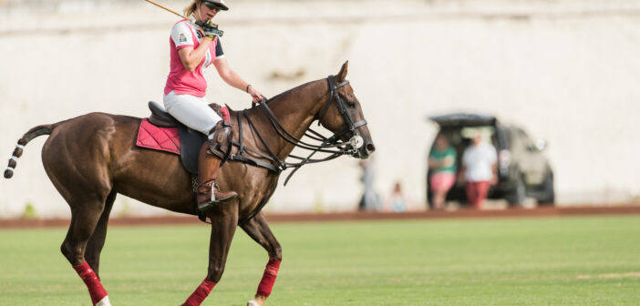 How to improve your Polo through Benchmarking