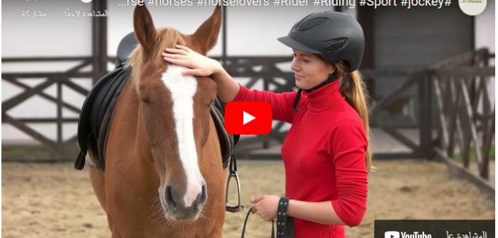 Why do Horses Connect with Humans?