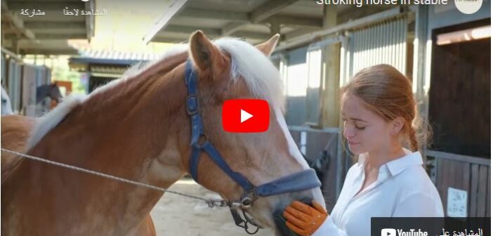 Horses and humans are pretty similar!