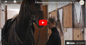 How to Ride a Horse for Beginners