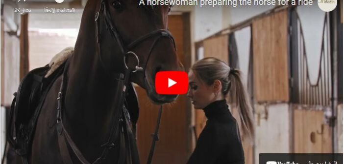 How to Ride a Horse for Beginners