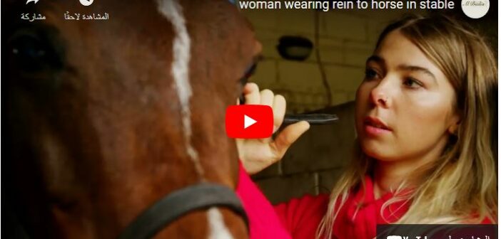 What is good about a horse?