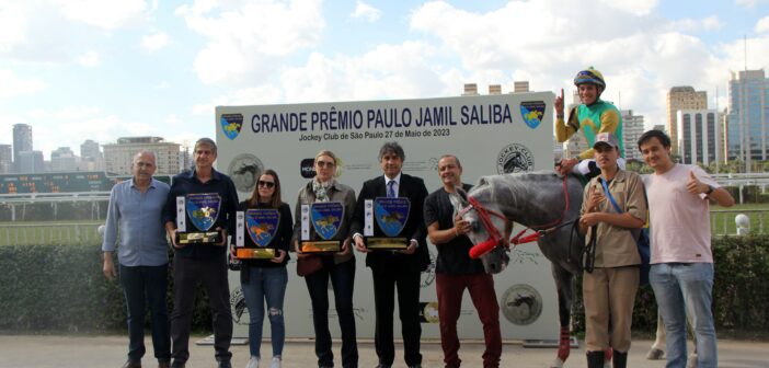 Clapton AJR wins the GP Paulo Jamil Saliba, the first classic of the Triple Crown of the Arabian Horse in Brazil