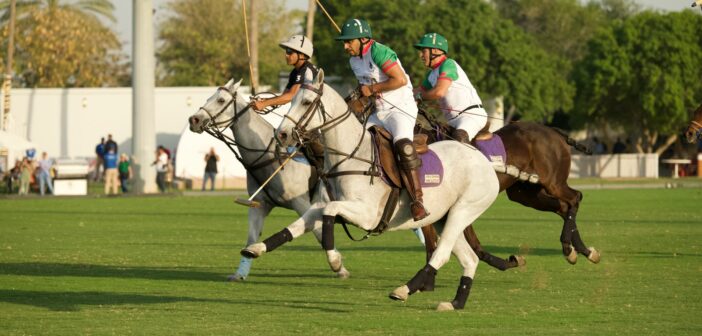 Polo: Game Tactics and Best Winning Strategies