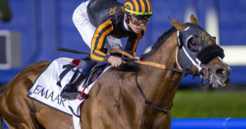 Dubai World Cup 2024 A selection of the winning horses in the first category participates in the most prestigious evening