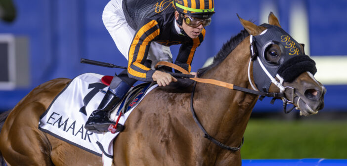 Dubai World Cup 2024 A selection of the winning horses in the first category participates in the most prestigious evening