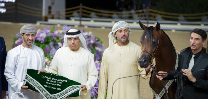 5 precious titles and these are the most beautiful foals Dubai Stud ranks first in Rabatieh for camel horses