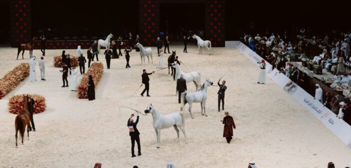 Mansour bin Zayed approves the Arabian Horse Beauty Championships program for the 2024-2025 season