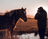 Equestrian Journalism: Its History and Importance in the Modern Age