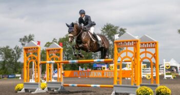 Jump Training: How to Increase Your Horse’s Agility and Lightness?