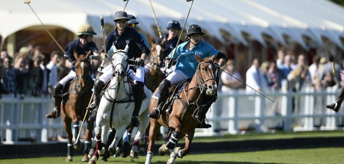 Polo as an Elite Sport: Its History and Future in the Arab World