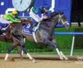 Old Favourites and Future Stars as Dubai Racing Carnival Returns