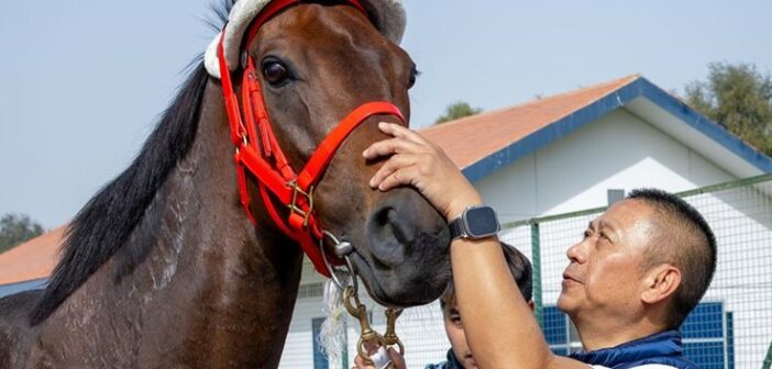 Romantic Warrior Arrives in Dubai