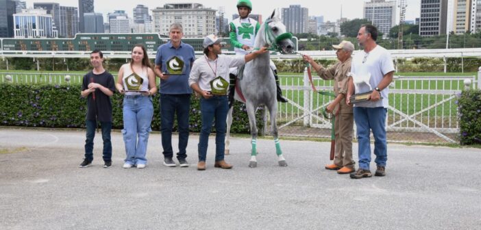 Allure BV wins third race in a row and trainer Haidar takes 1-2