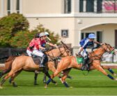 Habtoor Polo and Dubai Wolves Make a Striking Mark on Day One of Silver Cup 2025