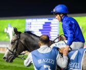 Azizi Sponsor Penultimate Carnival Card at Meydan Racecourse