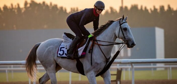 International Horses and Riders Clash as Carnival Closes