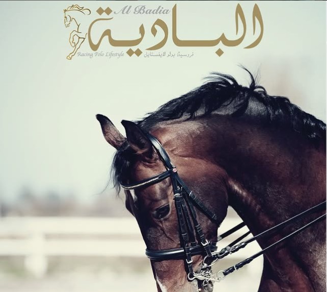 albadiamagazine